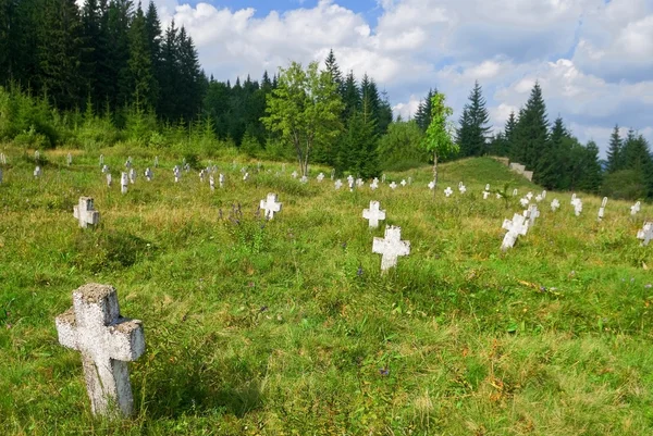 Gamla kyrkogården i en skog — Stockfoto