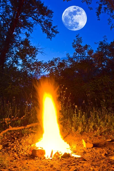 Gece sahne kamp ateşi ve ay — Stok fotoğraf