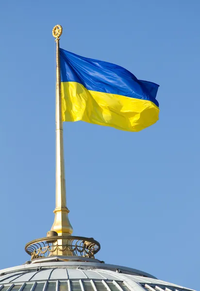 Ukrajinská vlajka Royalty Free Stock Obrázky