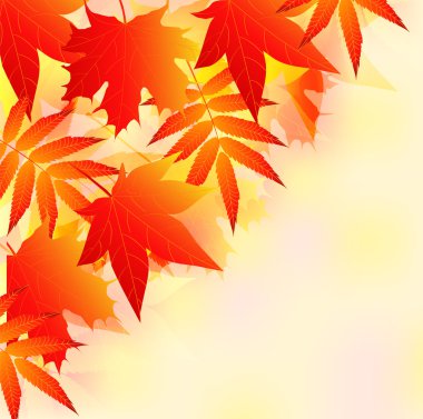 Autumn clipart