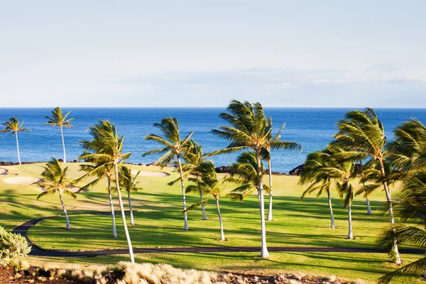 Golfbaan in het paradijs — Stockfoto