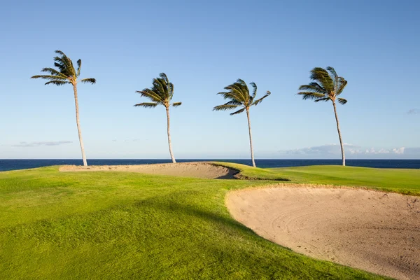 stock image Golf Course on the Ocean