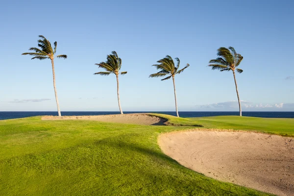 Golf Course on the Ocean Royalty Free Stock Images