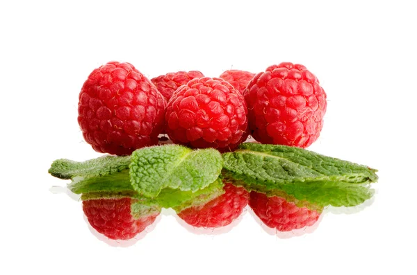 Still life raspberry — Stock Photo, Image