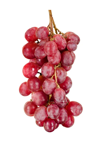 stock image Red grapes