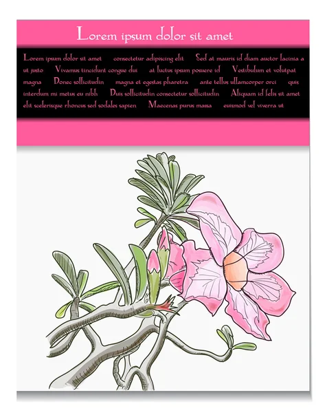 Carte vectorielle avec fleur tropicale — Image vectorielle