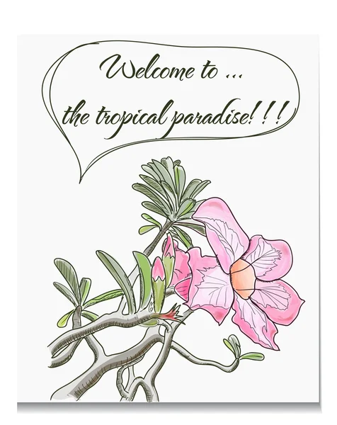 Wektor karty z tropikalnych kwiatów — Wektor stockowy