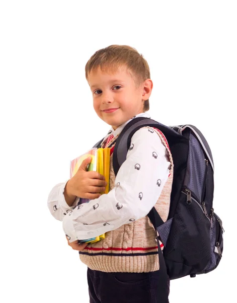 Portrait of male elementary pupil on white Stock Picture