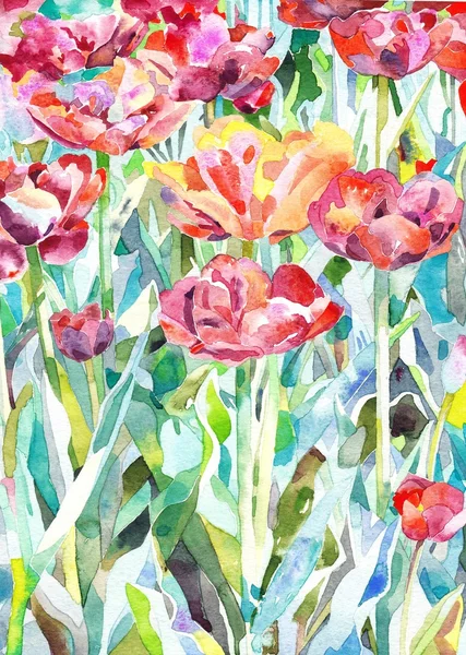 Original akvarellmålning av sommar, våren blomma — Stockfoto