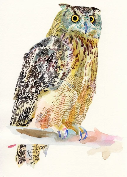 Оригинальная акварельная живопись птицы, совы на ветке — стоковое фото