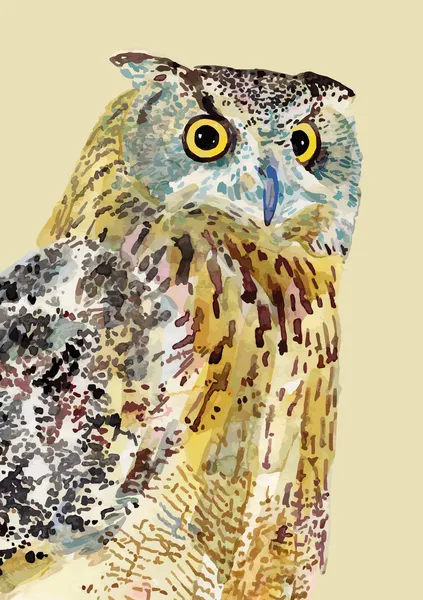 Watercolor painting of bird, owl. — Stock Vector