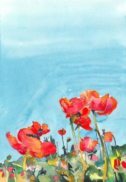 Eredeti akvarell mák virág háttér — Stock Fotó
