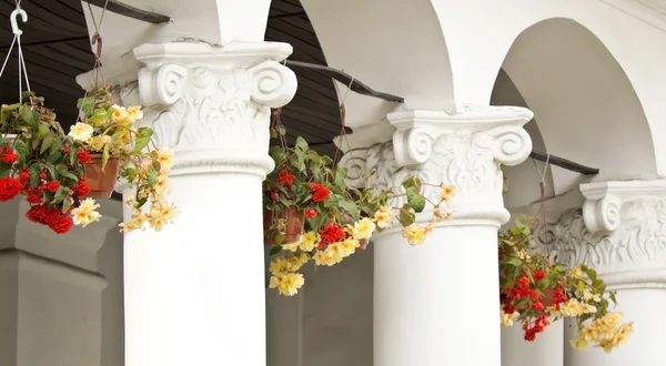 Columnas de yeso y macetas decoración de flores Ciudad — Foto de Stock