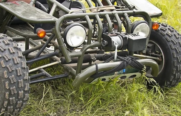 stock image Bugs on a background of grass machine