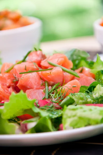 Versheid zalm salade — Stockfoto
