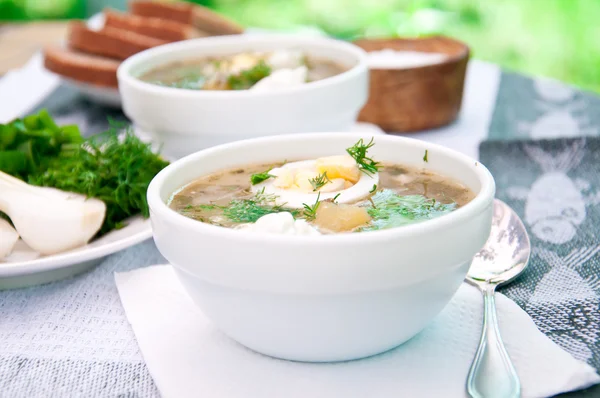 Sopa verde de sopa de azeda em uma xícara — Fotografia de Stock