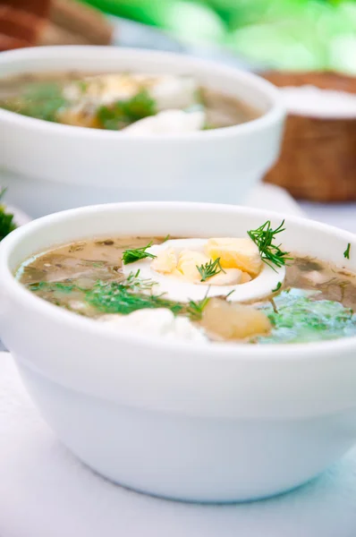 Зелений суп з сочевиці в чашці — стокове фото