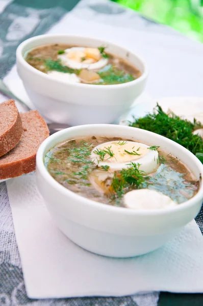 Grön soppa med ängssyra soppa i en kopp — Stockfoto