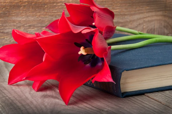 Red tulips on an old book — Stock Photo, Image