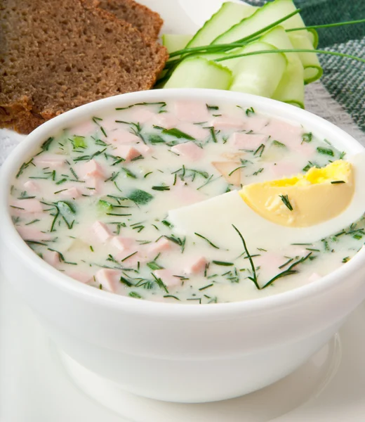 Sopa de kéfir de verduras frías con huevos y verduras — Foto de Stock
