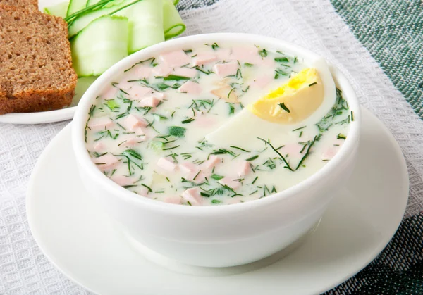 Sopa de kefir vegetal fria com ovos e verduras — Fotografia de Stock