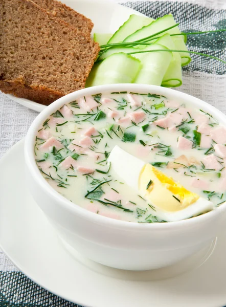 Cold vegetable kefir soup with eggs and greens — Stock Photo, Image