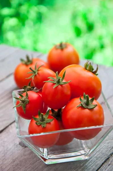 Tomates cherry de verano recién cosechados sobre fondo de madera — Foto de Stock