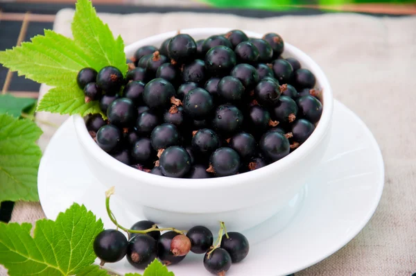 Färska svarta vinbär i skål — Stockfoto