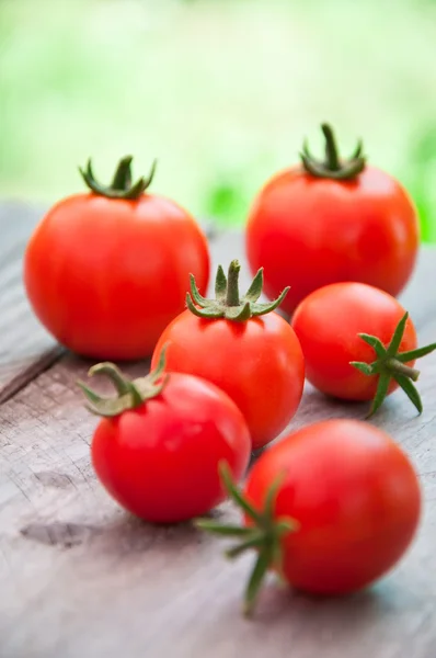 Tomates cerises fraîchement récoltées en été sur fond de bois — Photo