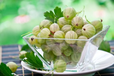 Gooseberry in glass bowl clipart