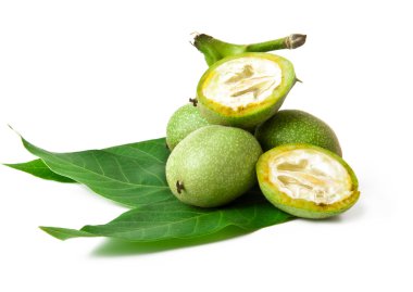 Green walnut on a white background