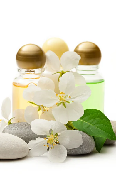 Apfelbaumblüten, Steine und Shampoo — Stockfoto