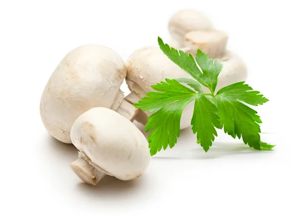 stock image Champignon and parsley on white