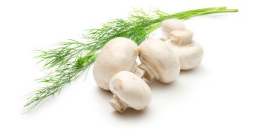 taze champignon ve yeşil dereotu