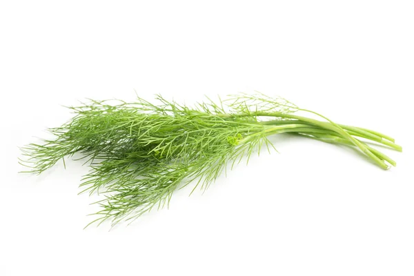 Čerstvě zelený kopru — Stock fotografie