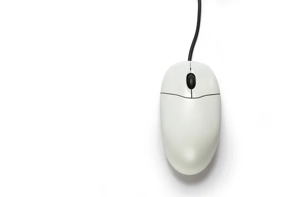 白い背景のコンピュータマウスは — ストック写真