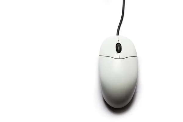 白い背景のコンピュータマウスは — ストック写真