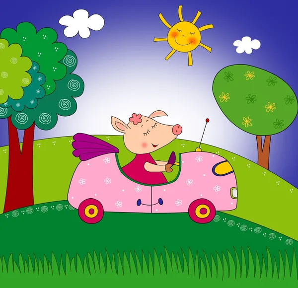 Piggy på bilen — Stockfoto