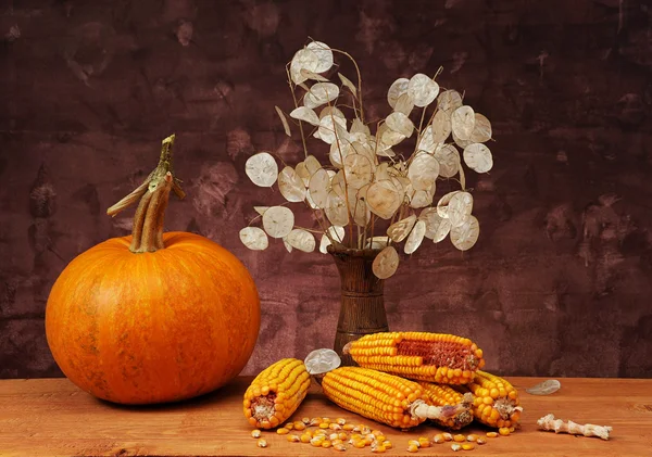 Calabazas, maíz y flores sobre la mesa — Foto de Stock
