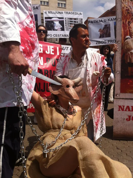 Animal welfare demonstration — Stock Photo, Image