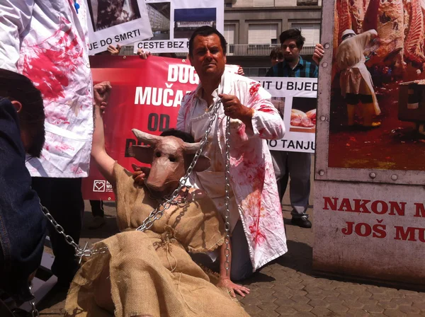 Dierenwelzijn demonstratie — Stockfoto