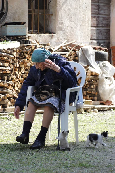 Elder woman and kittens — Stock Photo, Image