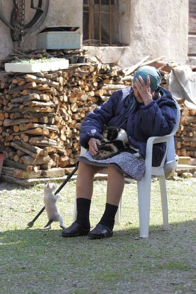 Старшая женщина и юноша кошки — стоковое фото