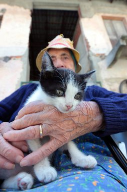 yavru kedi ile oturan kadın kıdemli