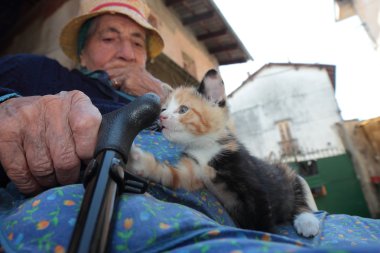 yavru kedi ile oturan kadın kıdemli