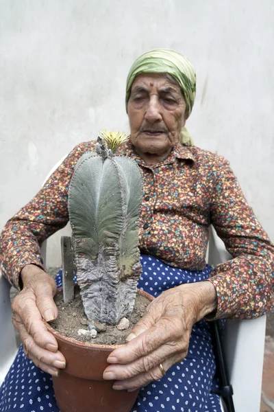 Senior woman Cactus — Stock Photo, Image
