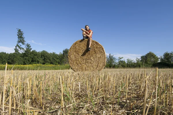 Bucolische zomer veld — Stockfoto