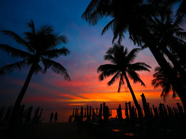 Gün batımında palmiye ağaçları silueti — Stok fotoğraf