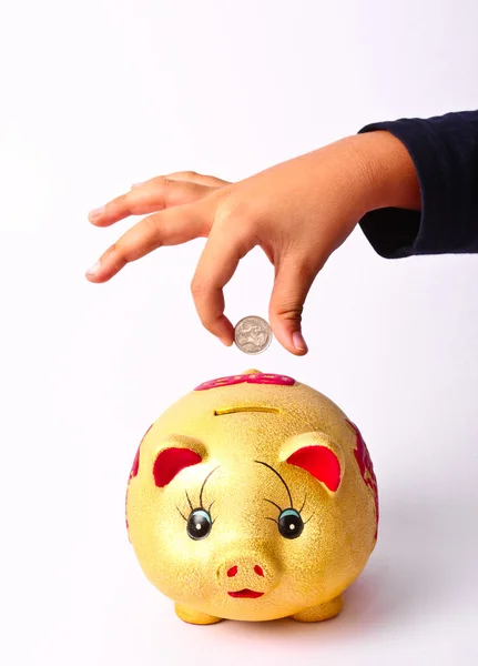 Saving pig — Stock Photo, Image
