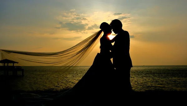Silhouet van bruidspaar — Stockfoto